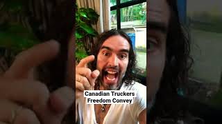 Canadian Truckers Protest [upl. by Ber571]