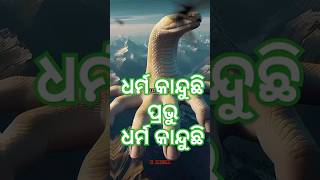 ଧର୍ମ କାନ୍ଦୁଛି ପ୍ରଭୁ ଧର୍ମ କାନ୍ଦୁଛି odia bhajan song shortsodisha [upl. by Angela]