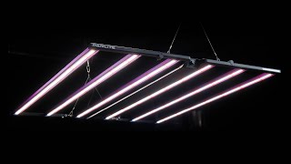 Parlite Expert 600 led grow light review [upl. by Pepper]