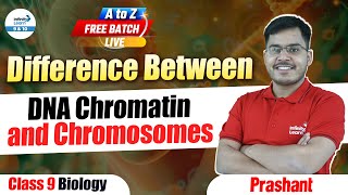 Difference Between DNA Chromatin and Chromosomes  Class 9 Biology  LIVE  InfinityLearn910 [upl. by Akinna]