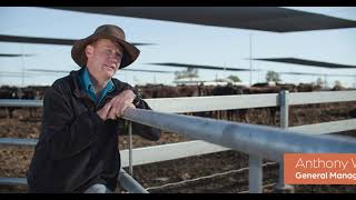 Pestivirus The hidden cost Anthony Winter QLD Feedlot [upl. by Berni13]