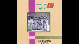 Banda R15  Arreando La Mula [upl. by Yolanthe]