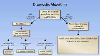 Hypophosphatemia [upl. by Paxon]