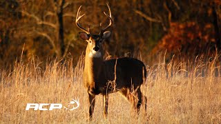 Chasse au chevreuil Sépaq Anticosti 2017 [upl. by Pammi]