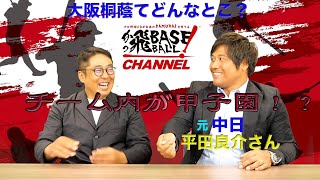 【コラボ企画】元中日ドラゴンズ平田良介さんに高校時代のお話を聞きました！大阪桐蔭の凄さの秘密教えてくれました！高校野球界のトップを走る大阪桐蔭はこんな学校でした！！ [upl. by Lissner]