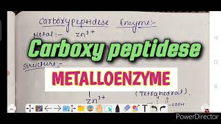 carboxy peptidese enzyme  metalloenzyme notes structure amp function  bioinorganic chemistry [upl. by Nabroc]