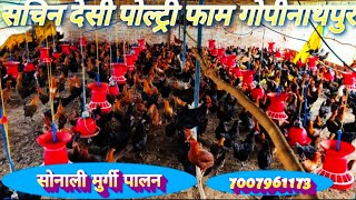 Sonali murgi palan Sultanpur Uttar Pradeshkadaknath pharming Sultanpurdesi poultry farm [upl. by Loram663]