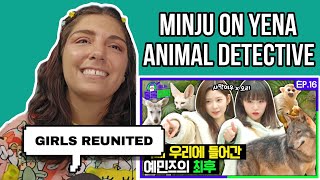 CHOI YENA Animal Detective EP16 With MINJU  IZONE REACTION [upl. by Aiym]