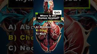 HUMAN BODY QUIZ 🧠🧠⁉️ facts neetmcq importantquestionsanatomysciencequizscienceshortsviral [upl. by Alyehs]