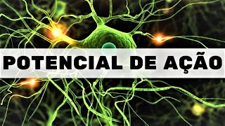 Potencial de ação  Fisiologia Humana [upl. by Nyltak]