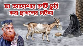 বিশ্ব নবী এবং মা আয়েশার শ্রেষ্ঠ একটি ঘটনা  বজলুর রশিদ ওয়াজ  Bazlur Rashid Waz  Was [upl. by Muhammad]