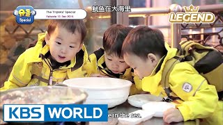 The Return of Superman  The Triplets Special Ep12 ENGCHN20170728 [upl. by Ridglee45]