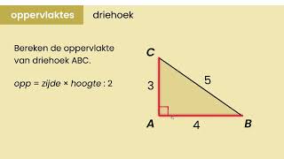 Wiskunde VMBO  Oppervlakte rechthoekige driehoek [upl. by Kcirddehs]