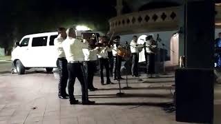 Mariachi Tierra Caliente De Mexicali 2017 Santa Cecilia [upl. by Howlan]