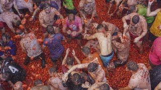 VIDEO  Tomato fight Spains Tomatina battle returns after pandemic hiatus [upl. by Fineman]