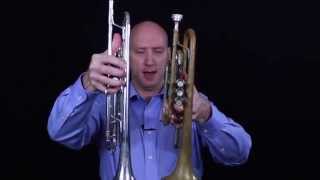 Trumpet vs Cornet Similarities and Differences [upl. by Lanfri581]