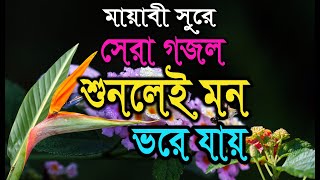 মায়াবী সুরে সেরা গজল  Moron Amay Dakdiase  মরন আমায় ডাক দিয়েছে  Md Rajjak [upl. by Eentruoc]