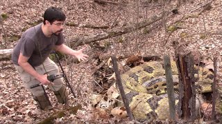 The Search for an Ohio Timber Rattlesnake [upl. by Waddington]