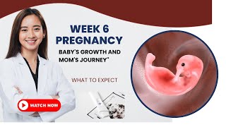 Exciting Changes at 6 Weeks Pregnant Babys Growth and Moms Journey [upl. by Ajay]