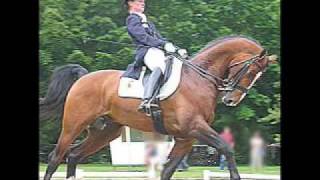 Amazing Ride of an unbroke 2 year old Clydesdale [upl. by Elocel]