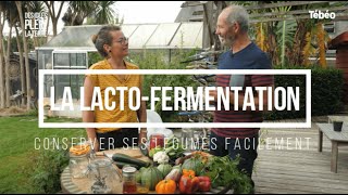 Comment réaliser une lactofermentation facilement [upl. by Eninnaej23]