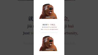 Chinese BeaverChinese CharacterPinyinEngsubLearn Chinese Through MemesMandarin [upl. by Enyallij]