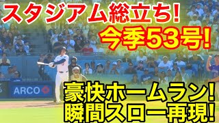 スタジアム総立ち！大谷53号ホームラン瞬間スロー映像！現地映像 [upl. by Sol]