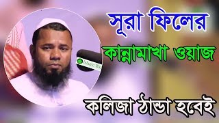 Bangla Waz 2017 Maulana Sharifuzzaman Rajibpuri New Bangla Islamic Waz 2017 [upl. by Howund316]