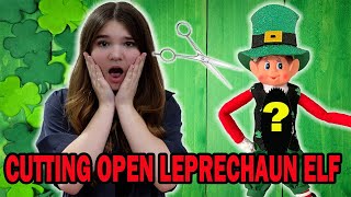 Whats Inside The Leprechaun Elf On The Shelf [upl. by Nilerual]