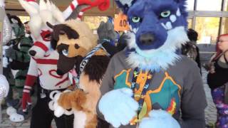 Random Furpocalypse Clips [upl. by Naicul]