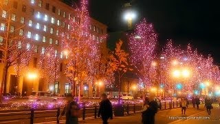 御堂筋イルミネーション 2013 Midosuji Street Illumination Osaka Japan [upl. by Rizzo163]