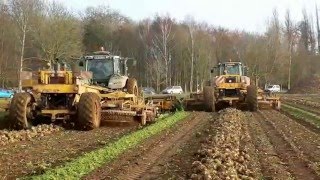 WORLD BIGGEST BEET  Harvester 24 Rows JPS Soyez [upl. by Garibald]