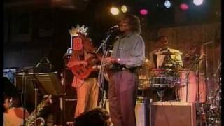 BBKing amp Albert Collins  Call It Stormy Monday  Live [upl. by Yerffe]