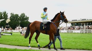 Скачки в Польше Racing Horses in Poland [upl. by Elledoj756]