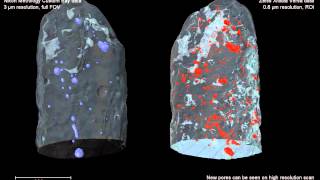 CT porosity measurements on ferritic steel a multiscale approach [upl. by Nibor405]