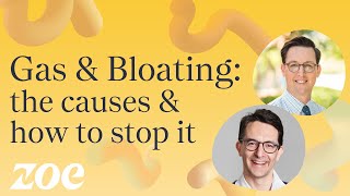 Gas and bloating the causes and how to stop it  Dr Will Bulsiewicz [upl. by Ho766]