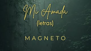 Mi amada letra  Magneto [upl. by Adroj]