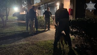 CCSO On Patrol Bank robbery suspect arrested with K9 unit’s help [upl. by Luane]