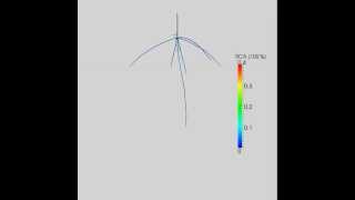 Growth of maize root system showing aerenchyma distribution in SimRoot [upl. by Meda]