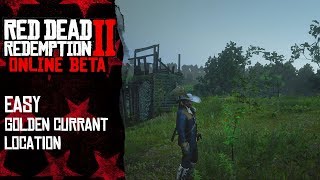 Easy golden currant location  Red Dead Redemption 2 Online [upl. by Adnawad]