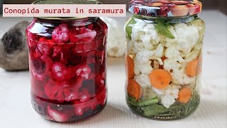 Conopida murata in saramura 1 singura reteta 2 variante alb si roz  🥣 Lecturi si Arome [upl. by Soracco670]