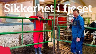 Sikkerhet i fjøset med hev og senkeporter hos Svein Nedremyr [upl. by Emelen687]