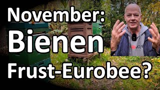 November Bienen und Frust auf Eurobee  was ist zu tun NaturRundgang [upl. by Yelsgnik]