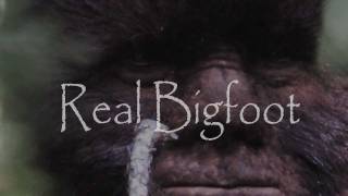 Incredible Bigfoot footage Todd Standings 2011 Sylvanic Sasquatch compilation [upl. by Beard962]