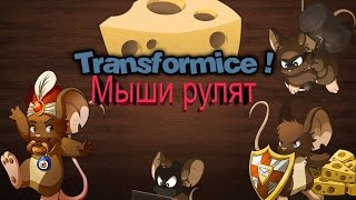 Transformice  мыши сыр и шаманы [upl. by Alexia]