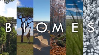 Biomes  The Living Landscapes of Earth Introduction To Biomes Of The World Geodiode [upl. by Ettenyar]