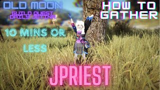 HOW TO GATHER IN BDO  OLD MOON EVENT JETIAN SEALS [upl. by Ysdnil523]