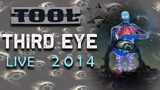 Third Eye LIVE 2014 Remastered  Maynards message for vegetarians [upl. by Farkas]