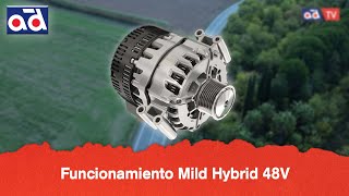 Funcionamiento Mild Hybrid 48V [upl. by Shipley]