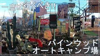 【キャンプ場紹介】山梨県でおすすめのパインウッドオートキャンプ場紹介 [upl. by Enyawd]